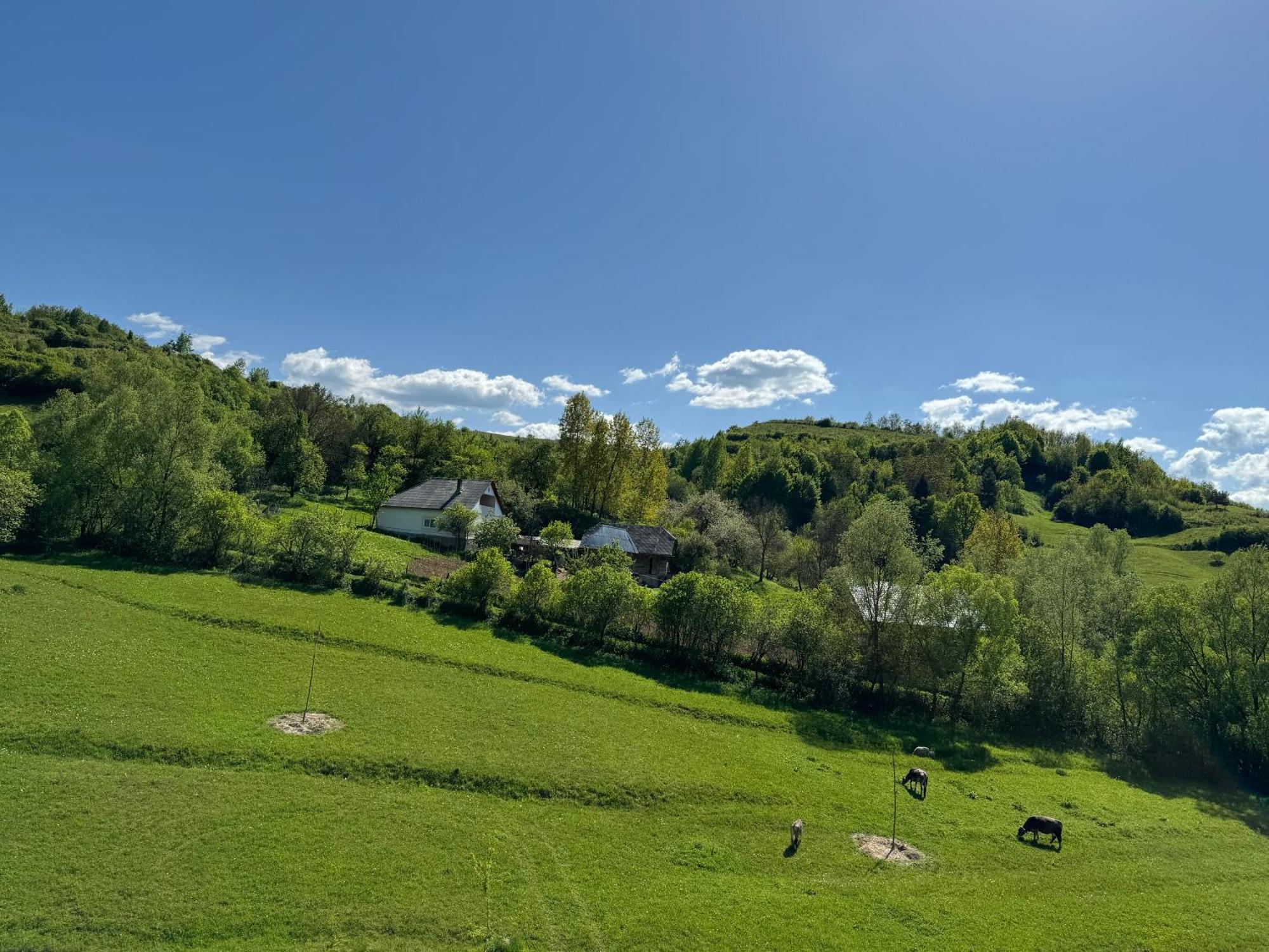 فندق Evenimente Edelweiss Bogdan Vodă المظهر الخارجي الصورة