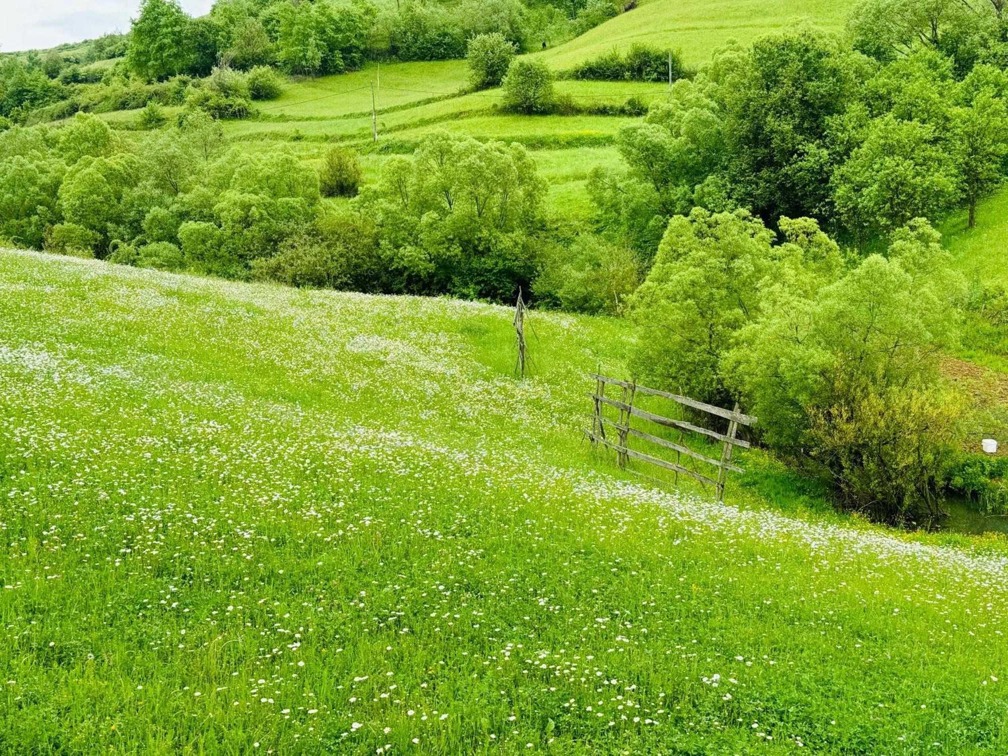 فندق Evenimente Edelweiss Bogdan Vodă المظهر الخارجي الصورة